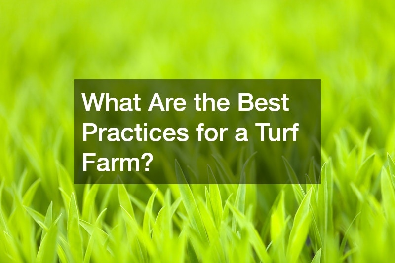 What Are the Best Practices for a Turf Farm?
